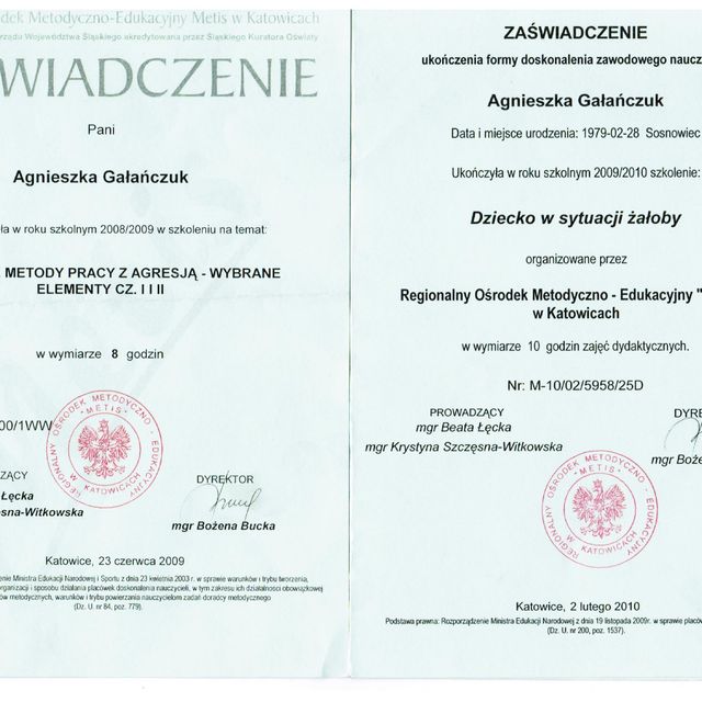 Powiększ obraz: certificate 10