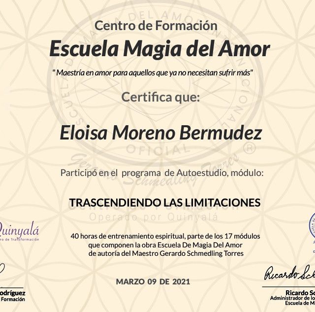 Acercar imagen: certificate 8
