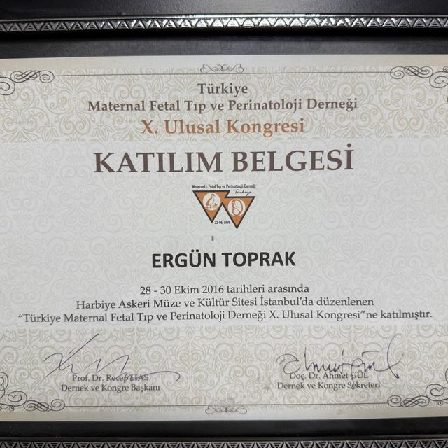 Resmi büyüt: certificate 4