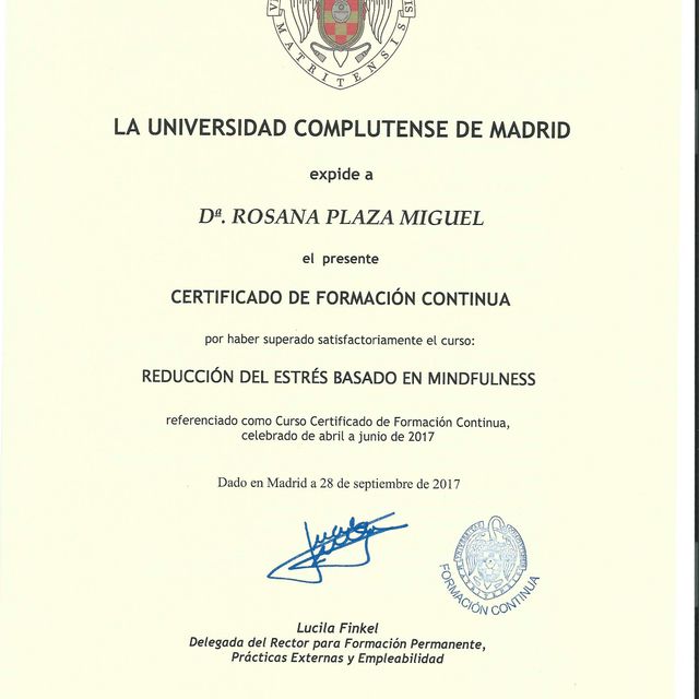 Acercar imagen: certificate 11