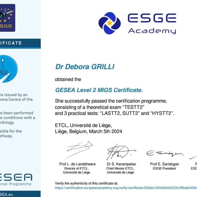 Ingrandire l'immagine: certificate 2