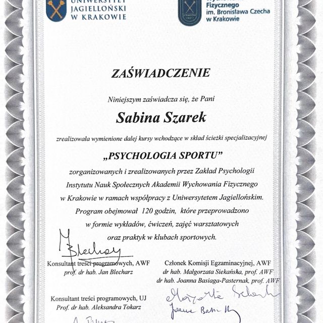 Powiększ obraz: certificate 1
