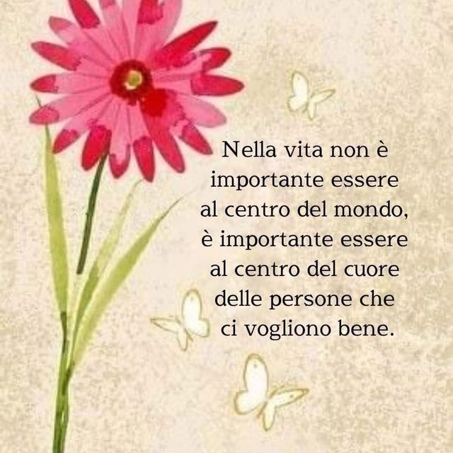 Ingrandire l'immagine: certificate 393