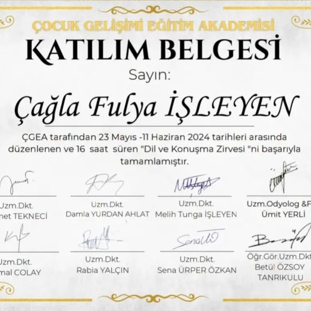 Resmi büyüt: certificate 35