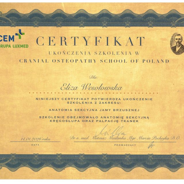 Powiększ obraz: certificate 8