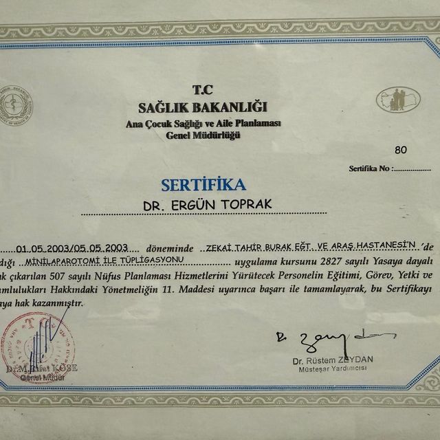 Resmi büyüt: certificate 29