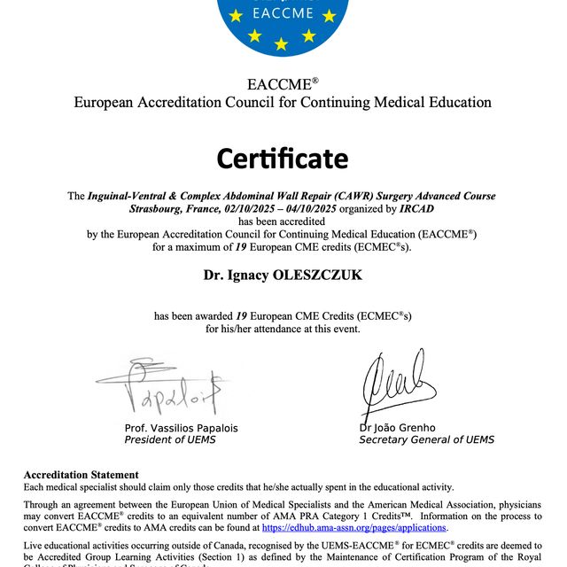 Powiększ obraz: certificate 2