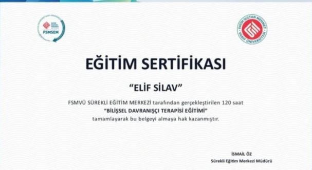 Resmi büyüt: certificate 8