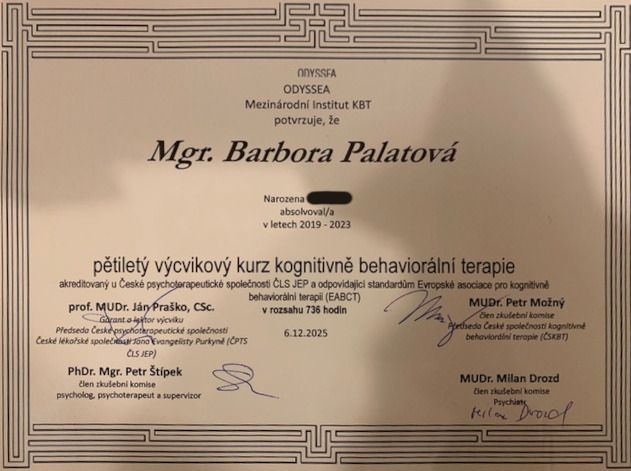 Zvětšit obrázek: certificate 1