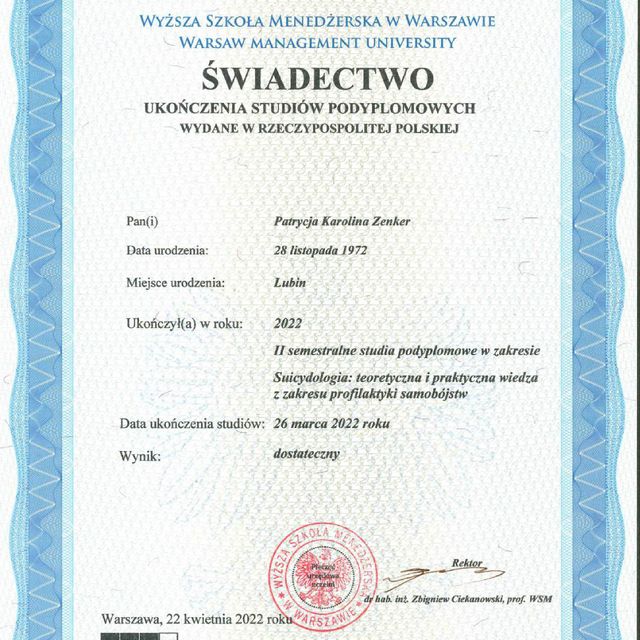 Powiększ obraz: certificate 1
