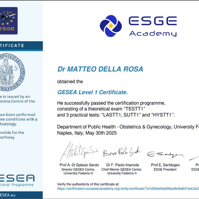 Ingrandire l'immagine: certificate 1