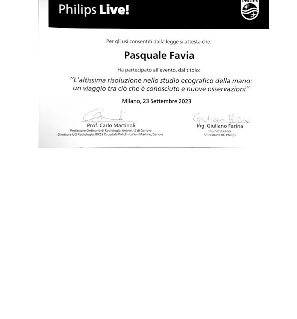 Ingrandire l'immagine: certificate 2