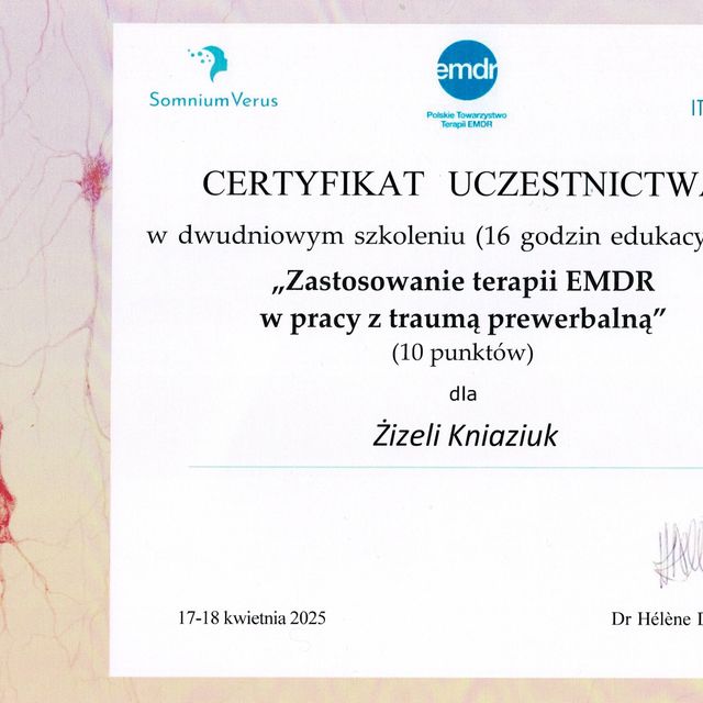 Powiększ obraz: certificate 11