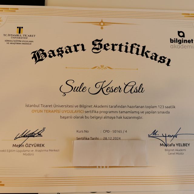 Resmi büyüt: certificate 13
