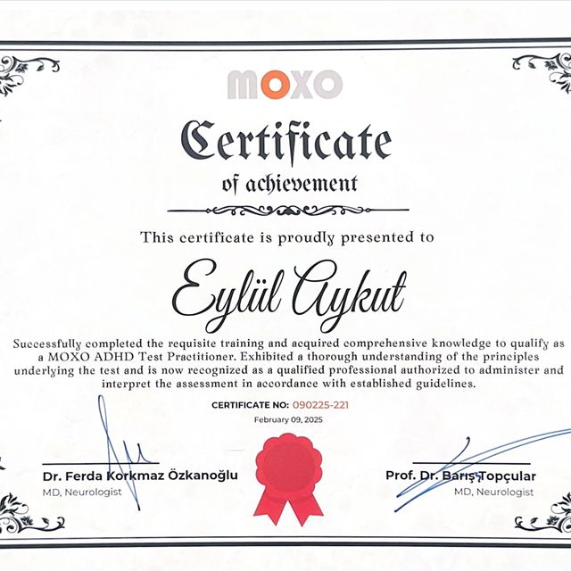 Resmi büyüt: certificate 2