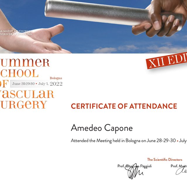 Ingrandire l'immagine: certificate 5