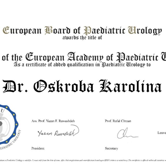 Powiększ obraz: certificate 6