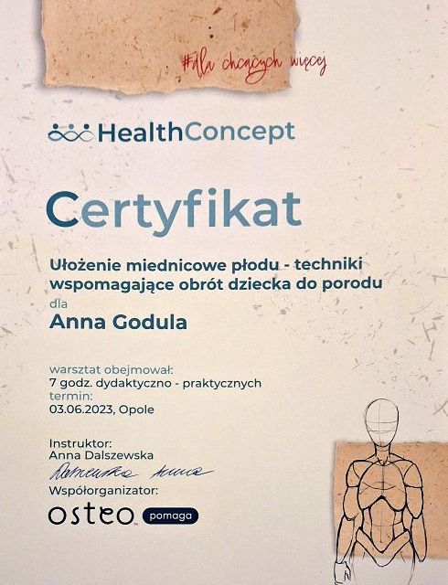 Powiększ obraz: certificate 3