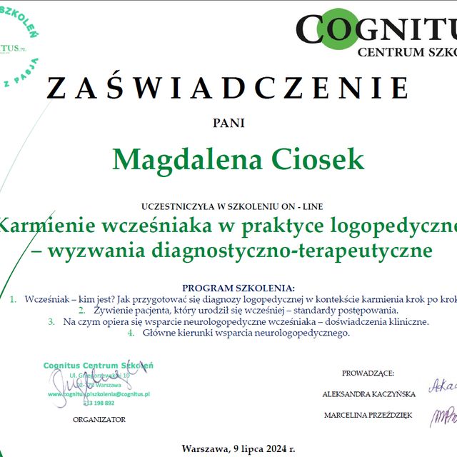 Powiększ obraz: certificate 11