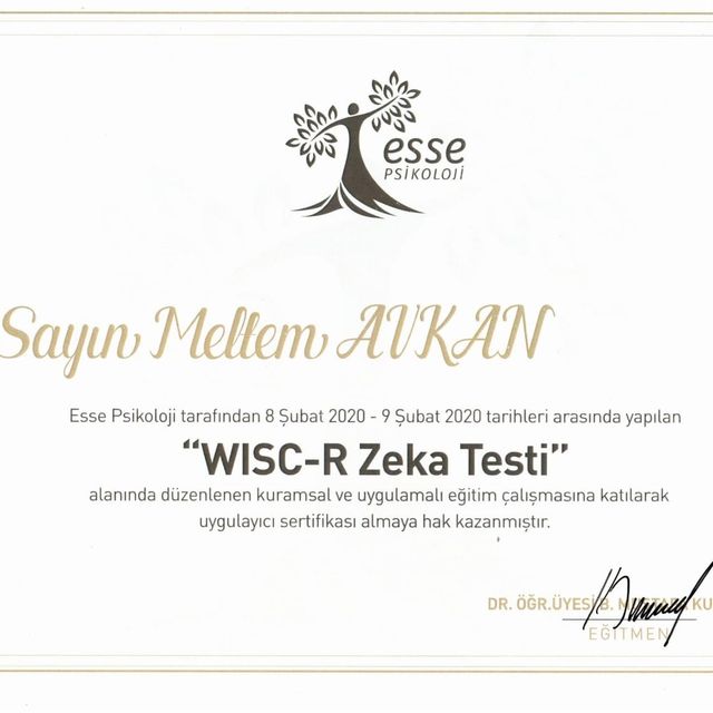Resmi büyüt: certificate 6