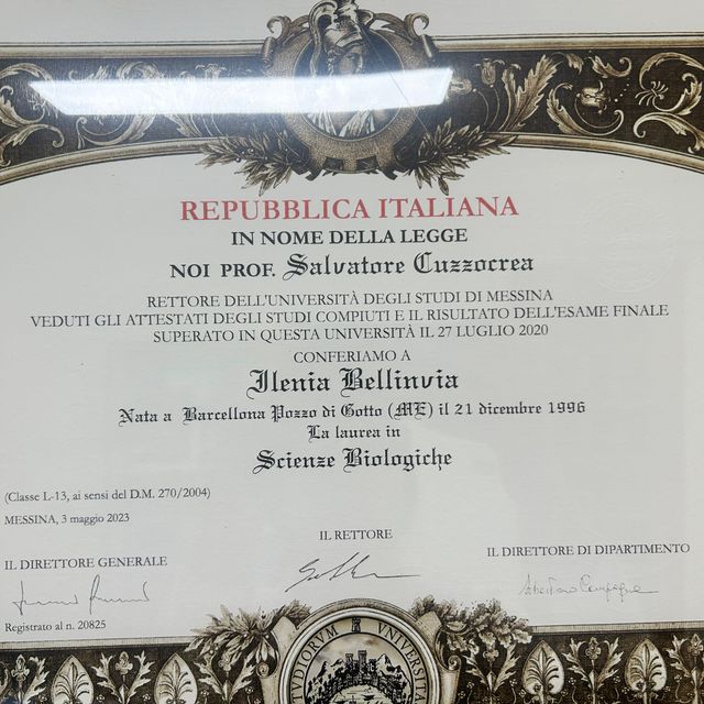 Ingrandire l'immagine: certificate 4