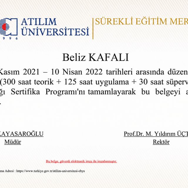 Resmi büyüt: certificate 2