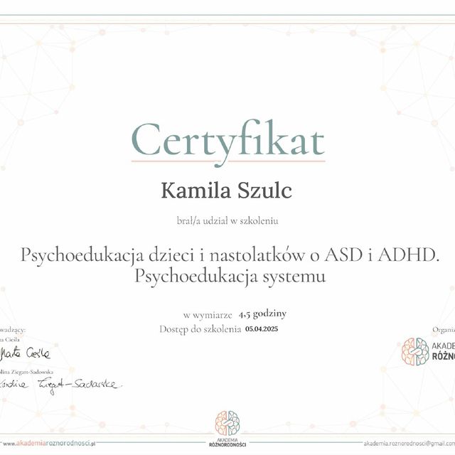 Powiększ obraz: certificate 2