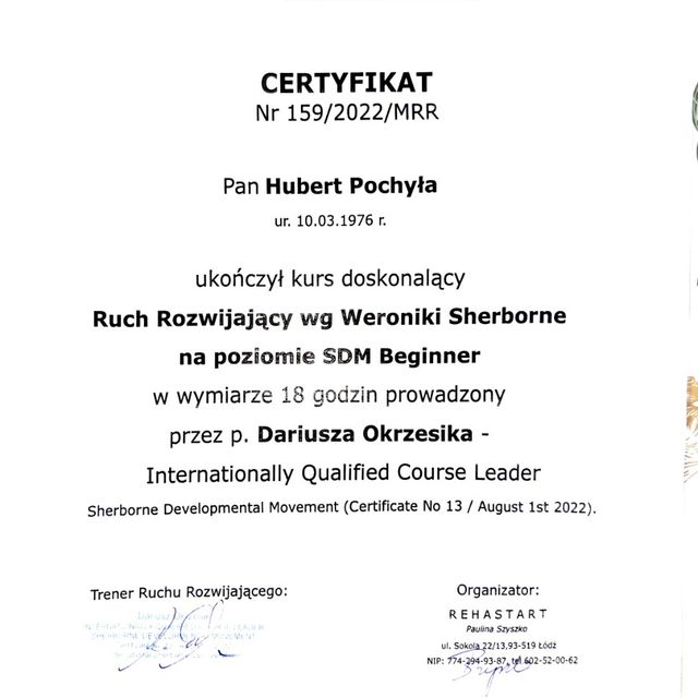 Powiększ obraz: certificate 6