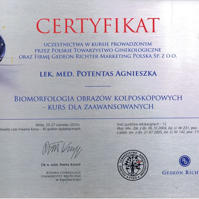 Powiększ obraz: certificate 3