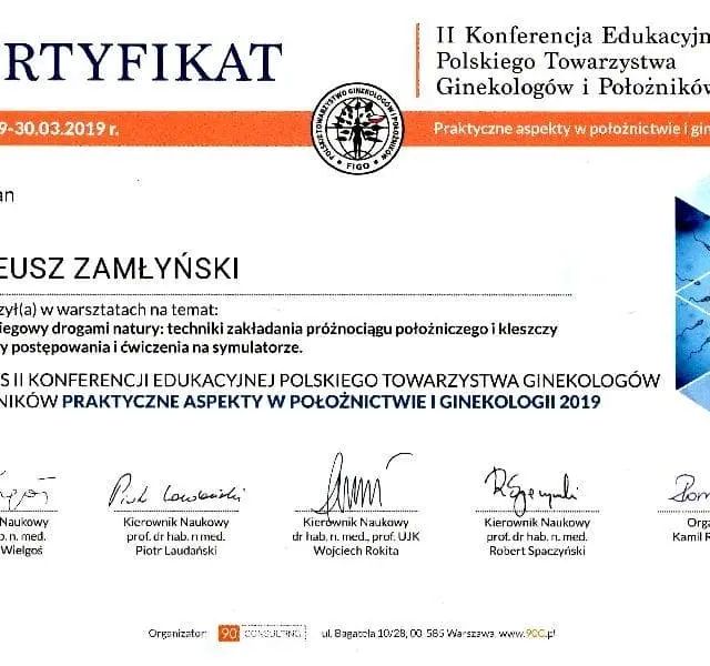 Powiększ obraz: certificate 1