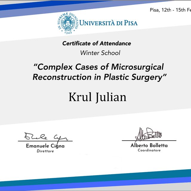 Powiększ obraz: certificate 1