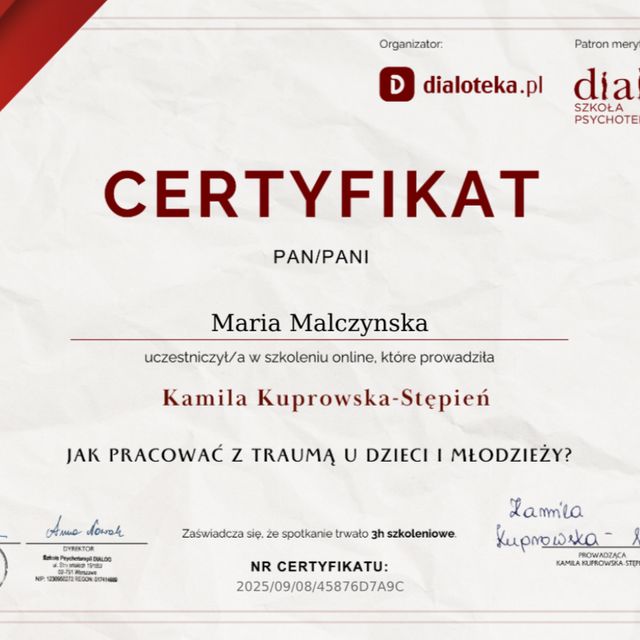 Powiększ obraz: certificate 1
