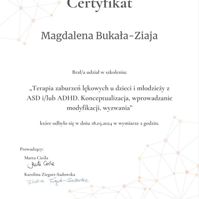 Powiększ obraz: certificate 6