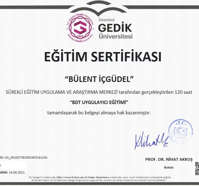 Resmi büyüt: certificate 2