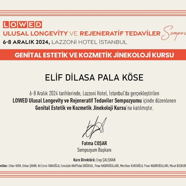 Resmi büyüt: certificate 4