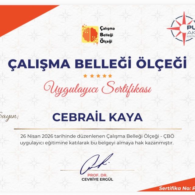 Resmi büyüt: certificate 8