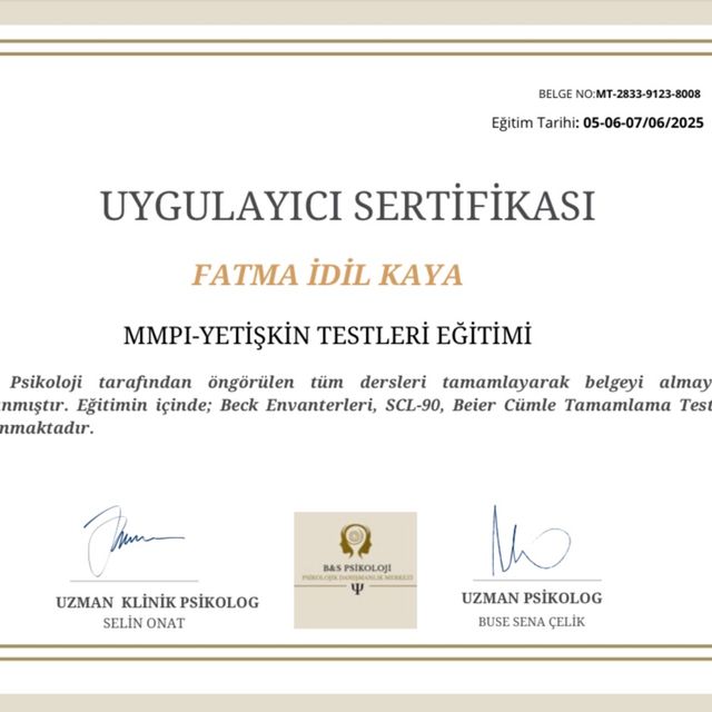 Resmi büyüt: certificate 3