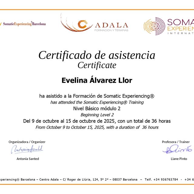 Acercar imagen: certificate 4