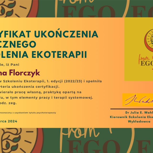 Powiększ obraz: certificate 11