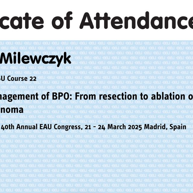 Powiększ obraz: certificate 11