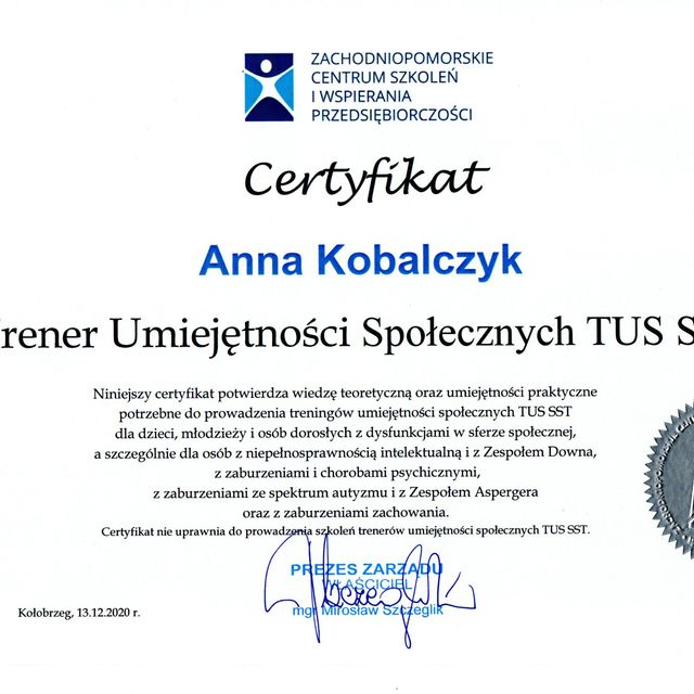Powiększ obraz: certificate 5