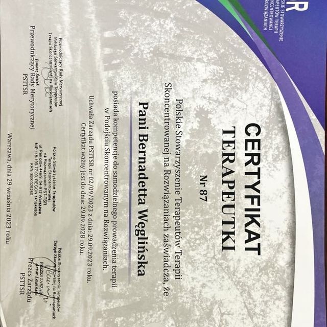 Powiększ obraz: certificate 1