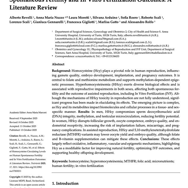 Ingrandire l'immagine: certificate 4