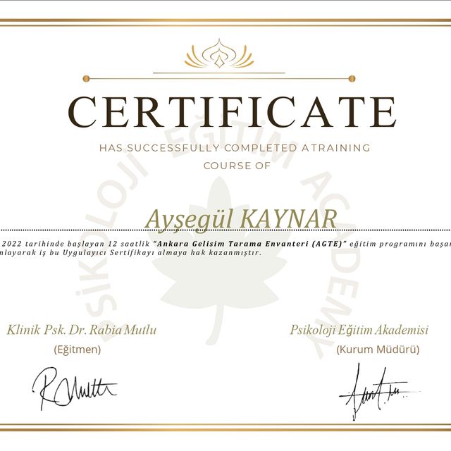 Resmi büyüt: certificate 6