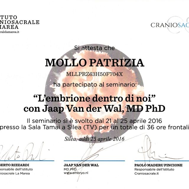 Ingrandire l'immagine: certificate 4