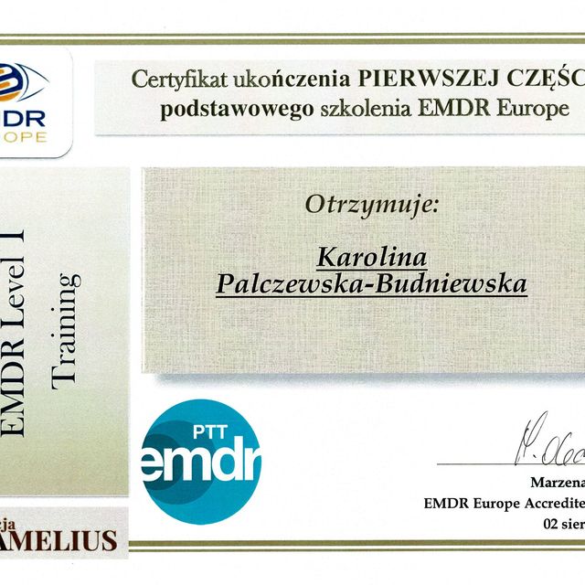 Powiększ obraz: certificate 1