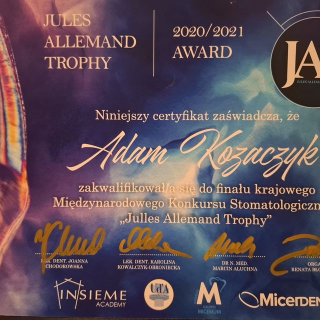 Powiększ obraz: certificate 2