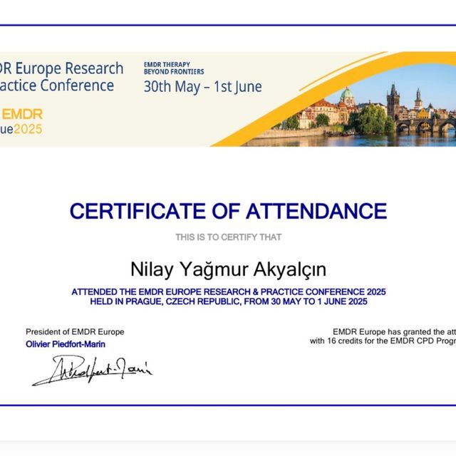 Resmi büyüt: certificate 8