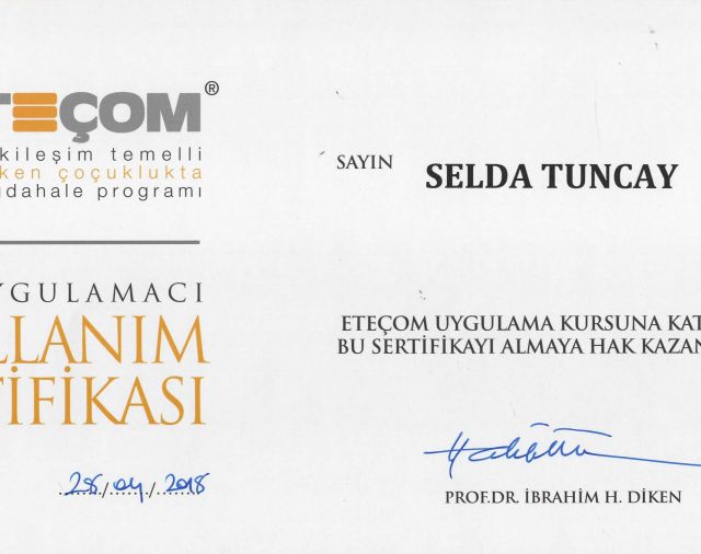 Resmi büyüt: certificate 2