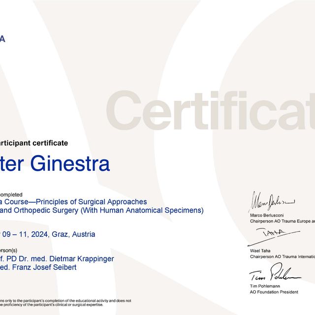 Ingrandire l'immagine: certificate 4